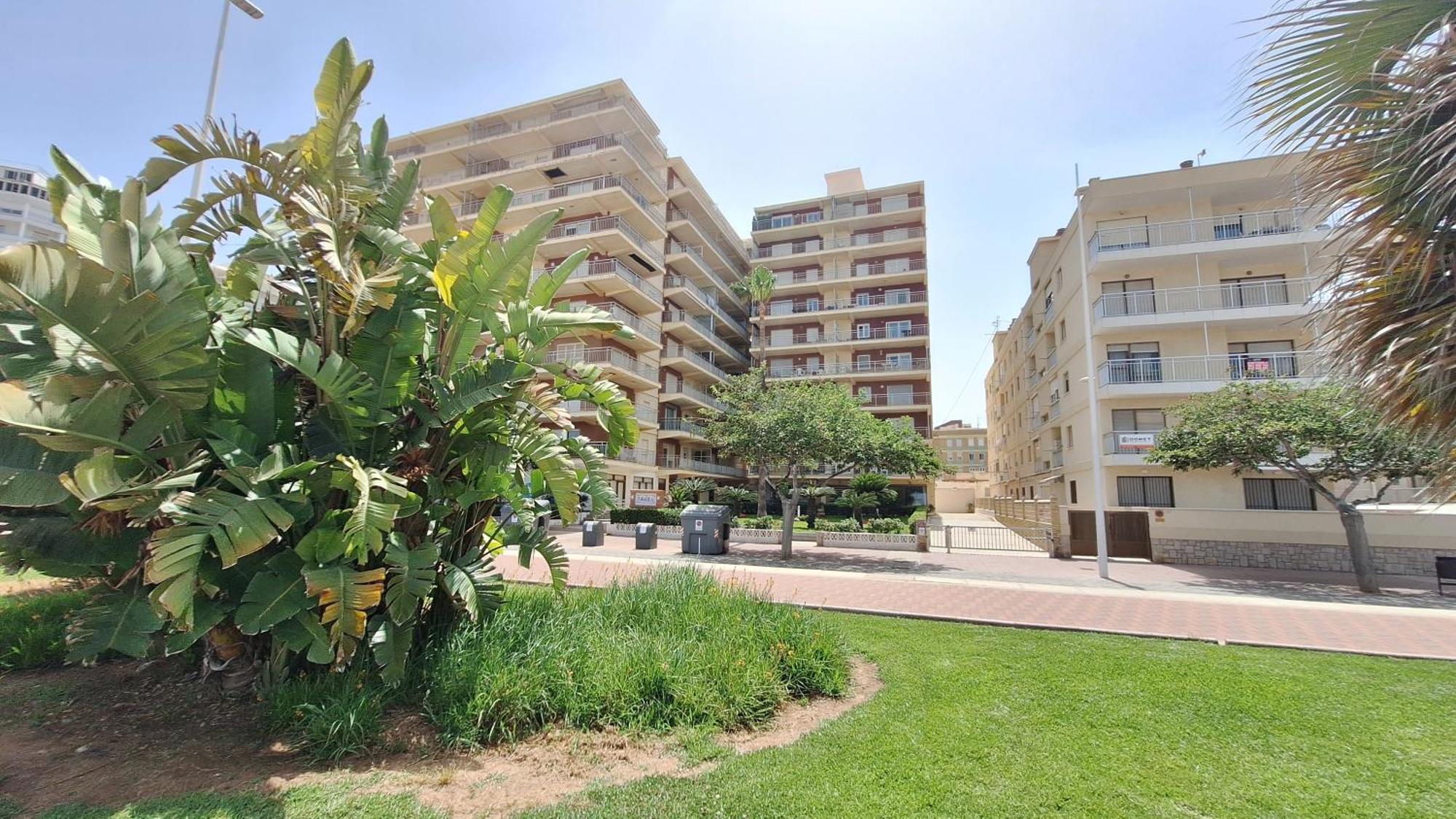 Gandia Primera Linea Caracola Beach View エクステリア 写真